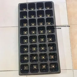 Khay ươm hạt lùn nhập khẩu