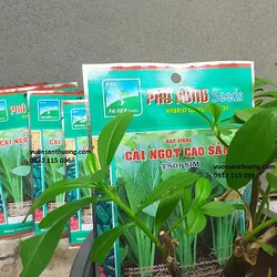 [Phú Nông] Hạt giống cải ngọt cao sản Phú Nông 50g