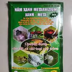 Nấm xanh Meta - Bảo vệ sức khỏe toàn diện