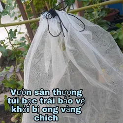 Túi Bao Trái, Hoa Qủa Tránh Côn Trùng Lỗ Nhỏ Thoáng 30* 35 cm Phù Hợp Hầu Hết Các Loại