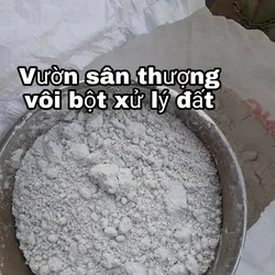Vôi Bột Nông Nghiệp 1 kg, Bón Cây, Cải Tạo Đất, Khử Phèn, Sát Trùng Ao Chuồng Trại