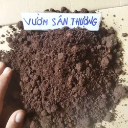 5kg Đất đỏ trồng cây rau củ quả cây cảnh hoa hồng