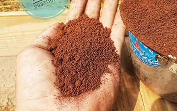 Đất Đỏ Bazan: Bí Quyết Cho Nền Nông Nghiệp Bền Vững