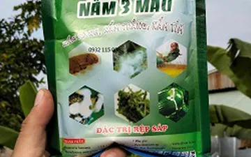 Vi khuẩn Bacillus thuringiensis (Bt) – “Vũ khí sinh học” diệt sâu hại an toàn