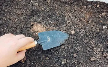 Hướng dẫn sử dụng đất thịt hữu cơ nguyên bản