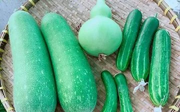 SO SÁNH  ĐẤT THỊT VÀ ĐẤT ĐỎ