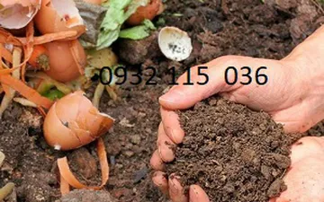 Tự Làm Phân Bón Hữu Cơ Cho Rau Trong Chậu: Hướng Dẫn Từ A Đến Z