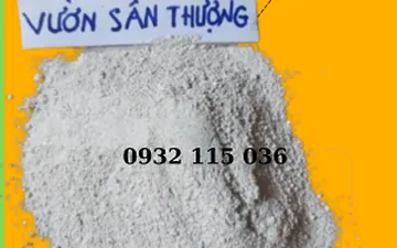 Vôi và Vai Trò Quan Trọng Trong Việc Cải Thiện Đất Trồng Cây Chậu