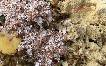 CÁCH Ủ PHÂN HỮU CƠ BẰNG E.M