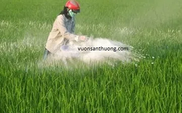 Bí Quyết Sử Dụng Vôi Bột Nông Nghiệp Để Cải Thiện Đất Trồng Trọt