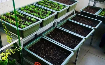 Thi công Vườn rau Sân Thượng Nhà anh Vinh  Tô Hiến Thành, q10