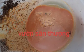 Cách ủ đậu tương làm phân bón hữu cơ