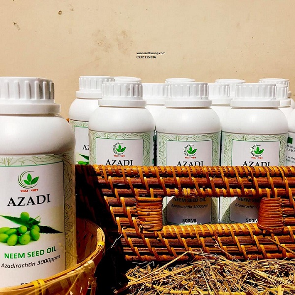 chê phẩm sinh học Neem đặc trị rệp sáp chê phẩm sinh học Neem đặc trị rệp sáp