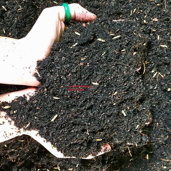 đất mùn hữu cơ đất mùn hữu cơ