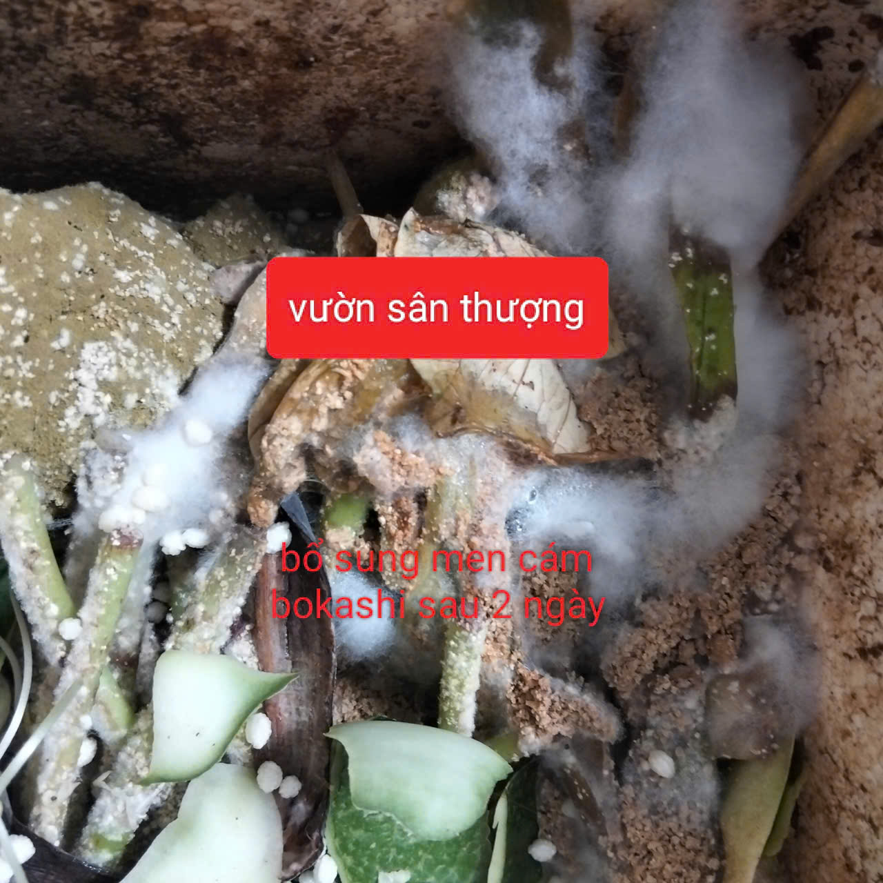 men cám bokashi ủ