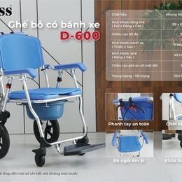 Ghế bô vệ sinh LUCASS cao cấp có bánh xe D-600