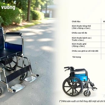 Xe lăn bô vuông vệ sinh Lucass V8