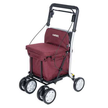 Xe tập đi kết hợp xe đẩy mua sắm có ghế ngồi Carlett Lett 800