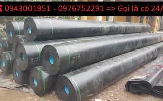 Màng Chống Thấm HDPE