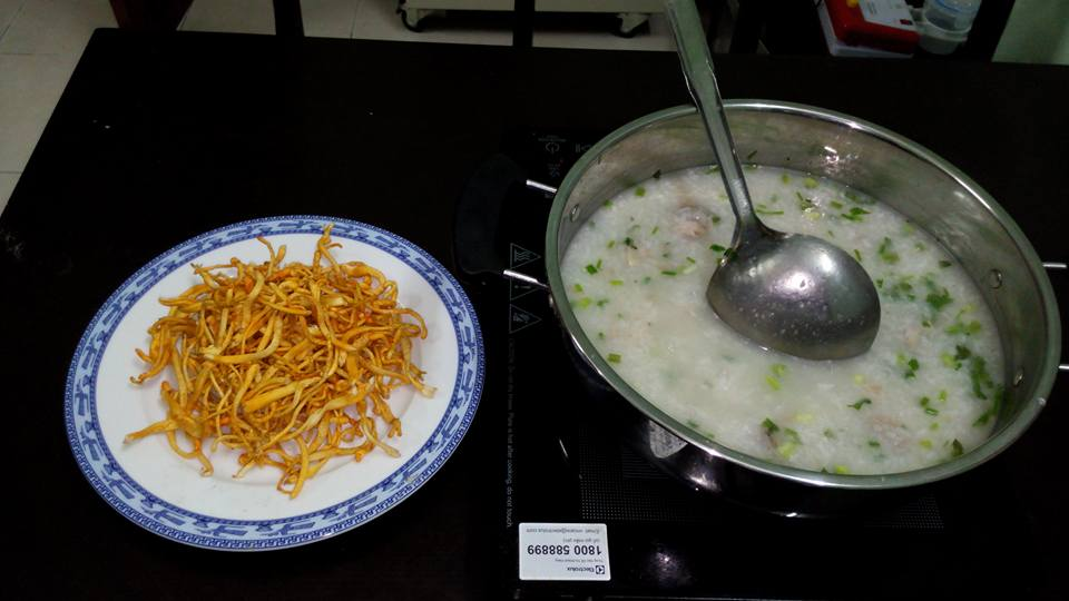 Đông trùng hạ thảo quả thể khô ăn như thế nào tốt nhất Đông trùng hạ thảo quả thể khô ăn như thế nào tốt nhất