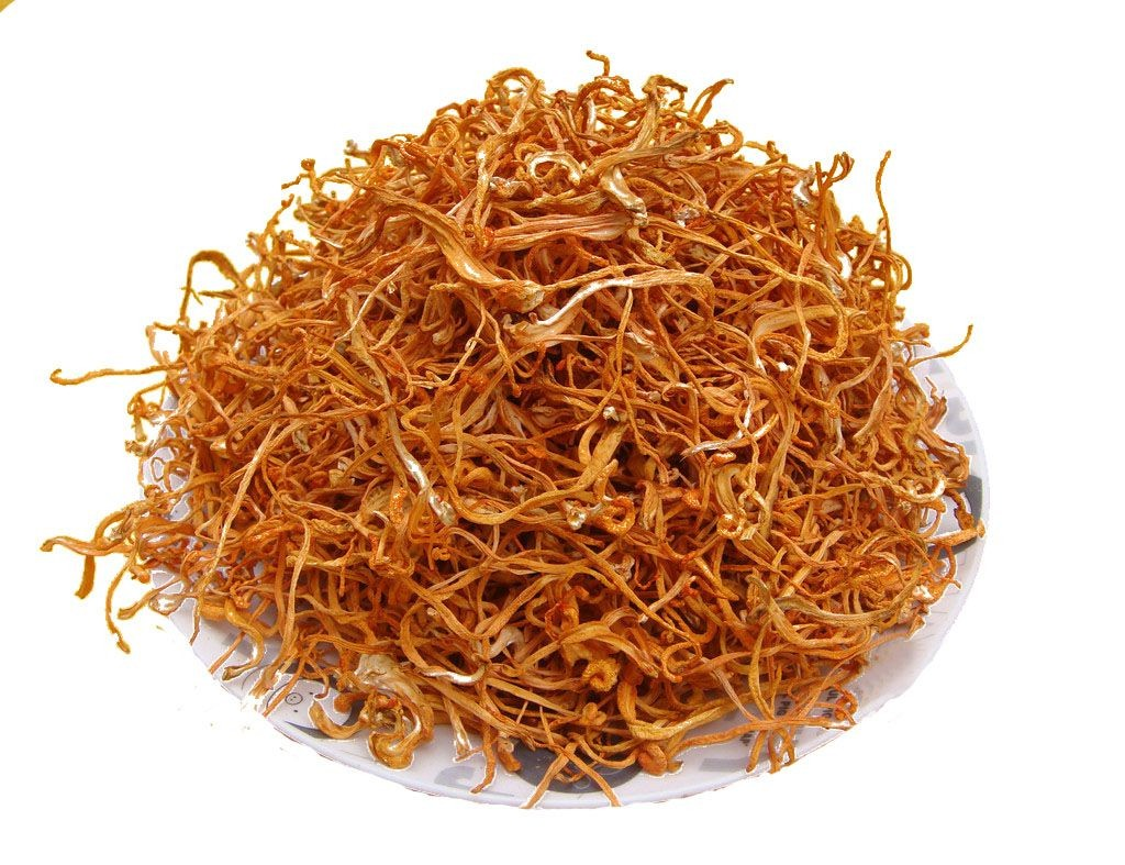 Giá đông trùng hạ thảo bao nhiêu tiền 1 kg Giá đông trùng hạ thảo bao nhiêu tiền 1 kg