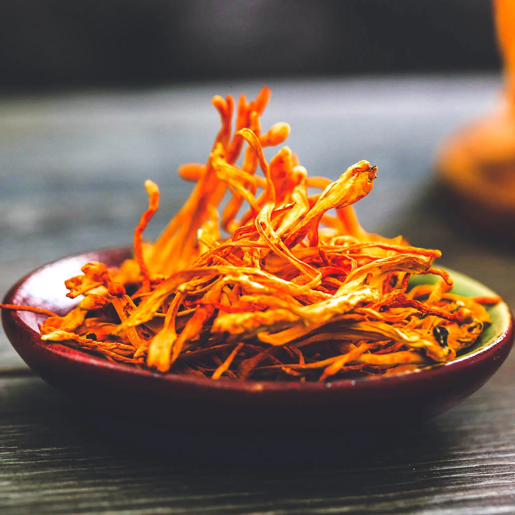 Giá đông trùng hạ thảo bao nhiêu tiền 1 kg Giá đông trùng hạ thảo bao nhiêu tiền 1 kg