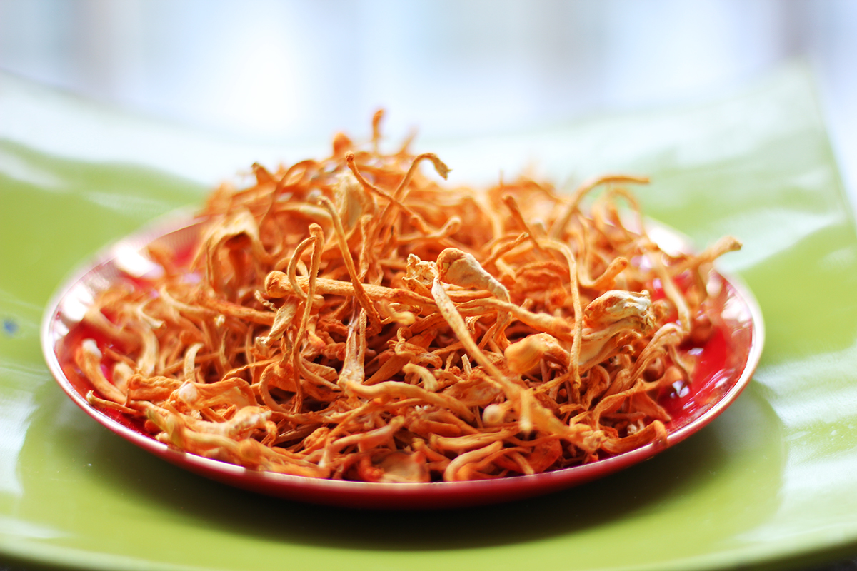 Đông trùng hạ thảo quả thể khô Đông trùng hạ thảo quả thể khô