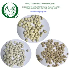 Chất xúc tiến dạng hạt