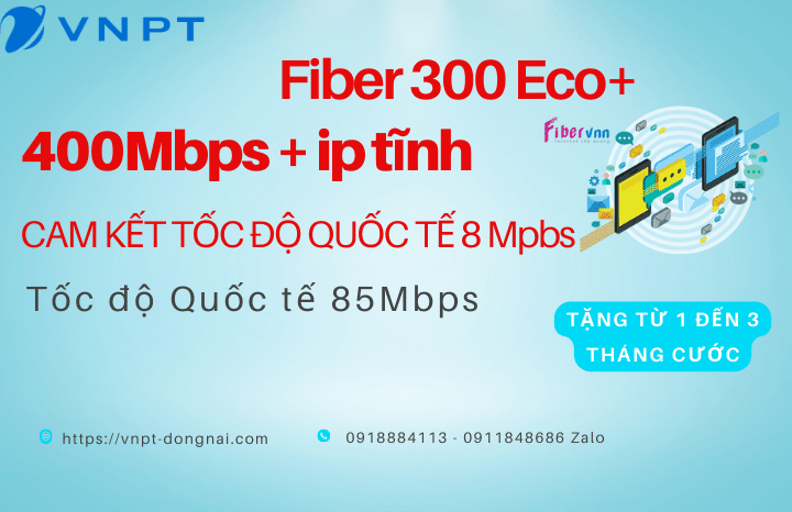 Cáp quang Doanh Nghiệp VNPT Fiber500Eco+ 500Mpbs 1 IP Tĩnh