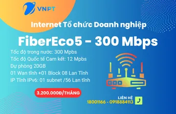 Internet VNPT cho Doanh nghiệp Gói FiberEco6 500Mbps