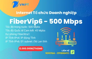 Internet VNPT cho Doanh nghiệp Gói FiberEco5 300Mbps