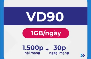 Sim Vinaphone Gói VD100T