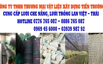 5 bước bạn cần biết để trồng hoa lan một cách chuyên nghiệp