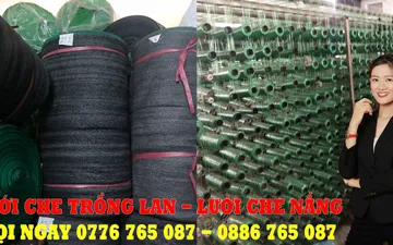 BẬT MÍ: 3 điều đáng ngạc nhiên về lưới che lan