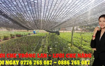Lưới Che Lan - Kinh Nghiệm Chọn Lưới Che Nắng Cho Lan