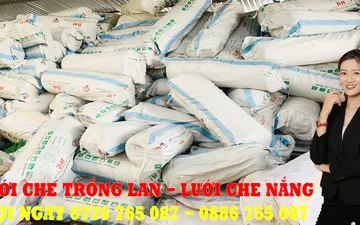 Cách Làm Dàn Che Lan Đơn Giản Mà Tinh Tế Cho Người Mới Chơi Lan