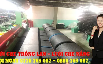 Làm Thế Nào Để Đối Phó Với Lũ Côn Trùng