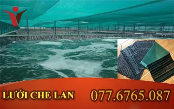 5 công dụng tuyệt vời từ lưới che lan