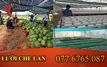 Lưới che ban công giá rẻ