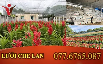 Lưới Che Nắng - Có Thể Giúp Giảm Nguy Cơ Mắc Ung Thư Da Đến Mức Nào?