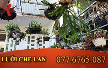 Lưới che lan - Lưới lan Quận 12