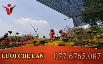 Lưới che lan có giá trị lớn thế nào với người nuôi tôm