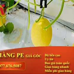 MÀNG PE TRẮNG TRONG 12 ZEM KHỔ 2M 