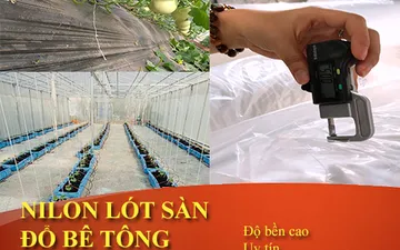 Màng Nhà Kính  PE - Lựa Chọn Tối Ưu Trong Nông Nghiệp Hiện Đại.