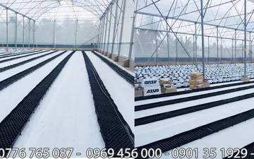 Chuyên Màng Pe - Nilong Trắng Quận 12