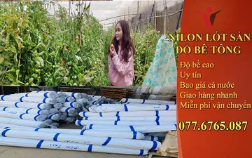 Màng PE Sử Dụng Trong Những Vấn Đề Gì của Nông Nghiệp - Có Dễ Sử Dụng