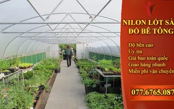 Bạn Đã Sử Dụng Màng PE Chưa ? - Điều Gì Khiến Nó Được Đưa Vào Nông Nghiệp Trong Nhiều Năm Nay