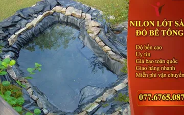 Bí Quyết Làm Hồ Trữ Nước Từ Màng PE