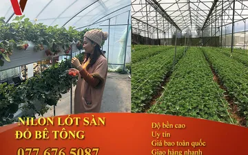 Thủ Thuật Đơn Giản Giữ Gìn Ngôi Nhà Bạn Ít Bụi Bẩn