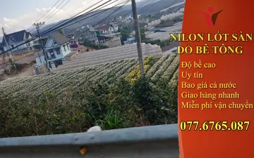 Thủ Thuật Chống Sâu Bệnh Cho Cây Mà Không Dùng Thuốc